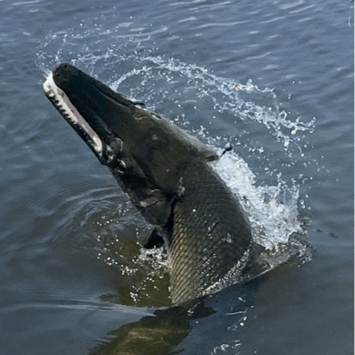 Fishing in Mandeville