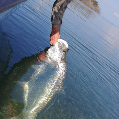 Fishing in Key West