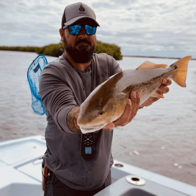 Fishing in Placida