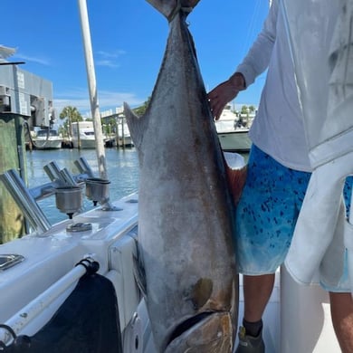 Fishing in Tierra Verde