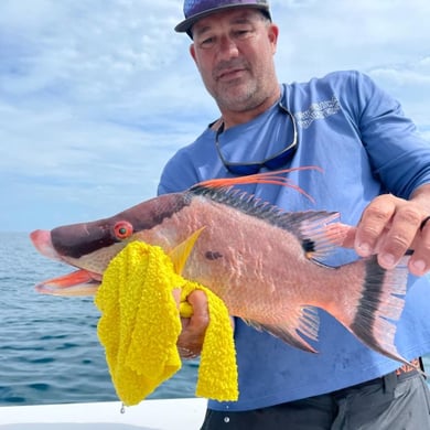 Fishing in Tierra Verde