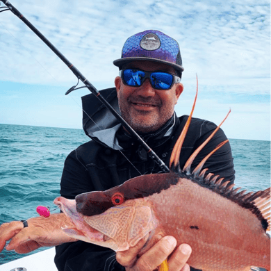 Fishing in Tierra Verde