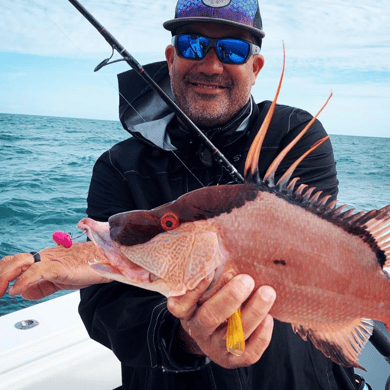 Fishing in Tierra Verde