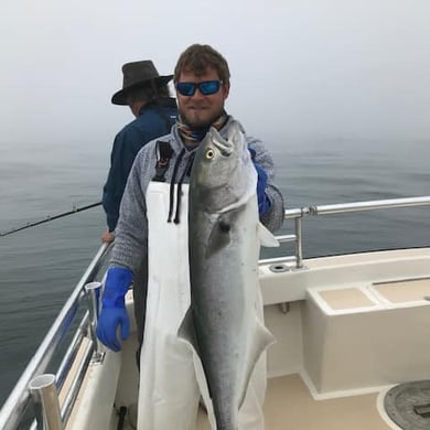 Fishing in Montauk