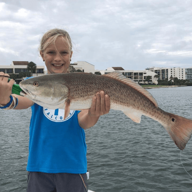 Fishing in Clearwater