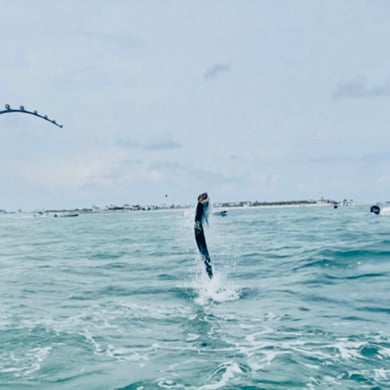 Fishing in Boca Grande