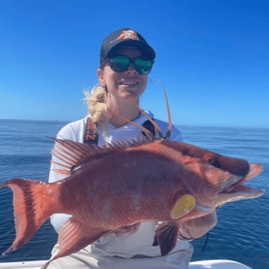 Fishing in Tierra Verde