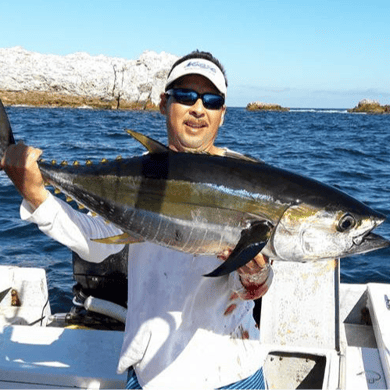 Fishing in Punta Mita