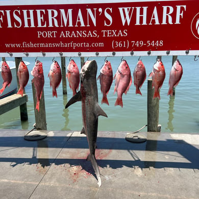 Fishing in Port Aransas