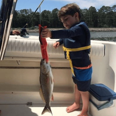 Fishing in Orange Beach