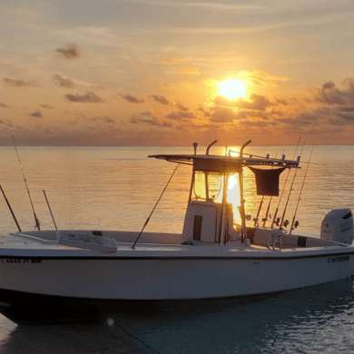 Fishing in Coral Gables