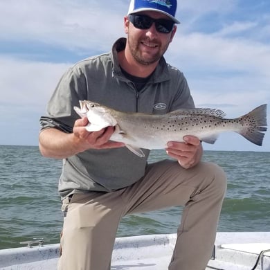 Dauphin Island
