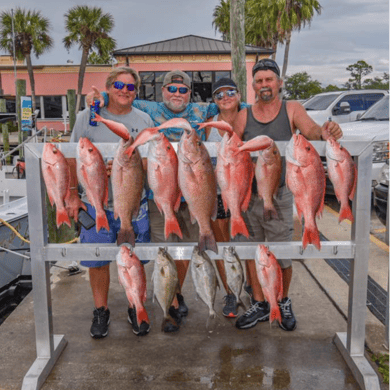 panama city fishing tours