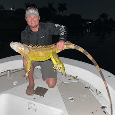 Cape Coral