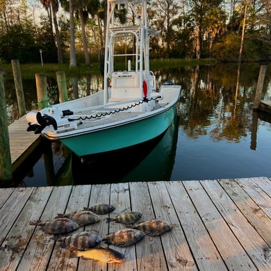 Fishing in Panama City