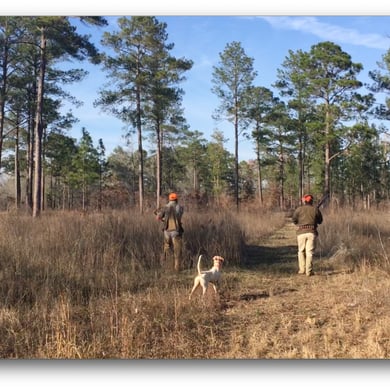 Hunting in Austin