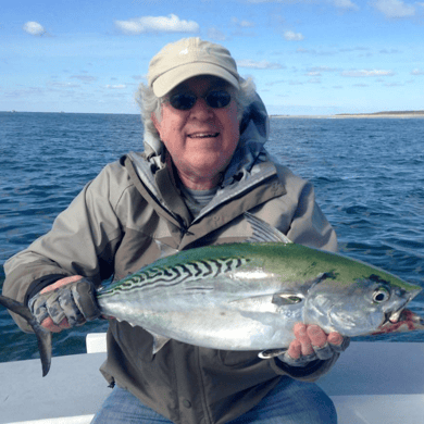 sea fishing trips falmouth