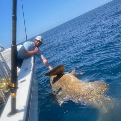 Fishing in Jacksonville