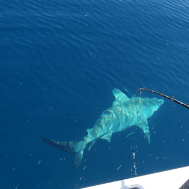 Fishing in Key Largo