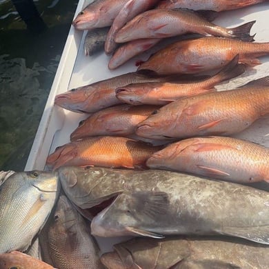 Fishing in St. Petersburg