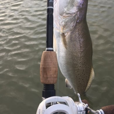 Fishing in Rockport