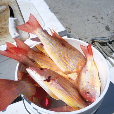 Fishing in New Smyrna Beach