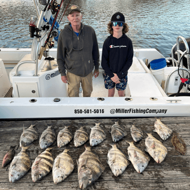 The 10 Best Bull Shark Fishing Charters in Pensacola