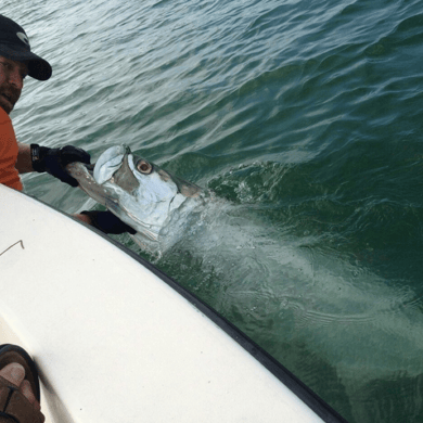 Fishing in Clearwater