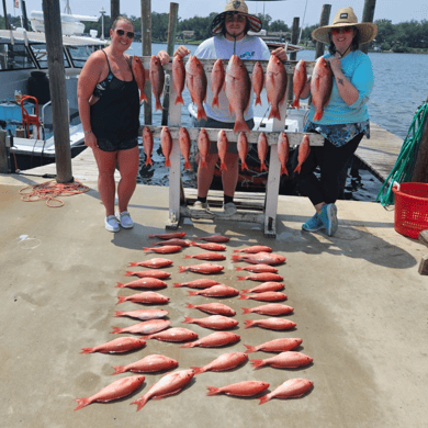 panama city fishing tours