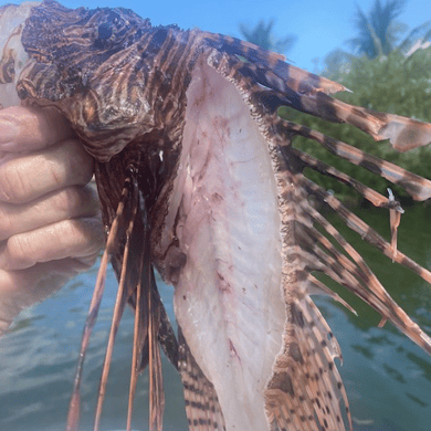 Fishing in Key West