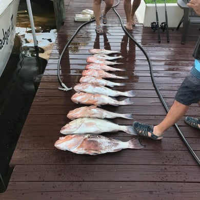 Fishing in Cape Coral