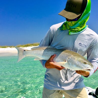 Live Bait Fishing