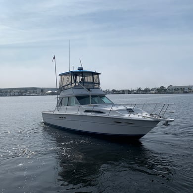 Fishing in Panama City