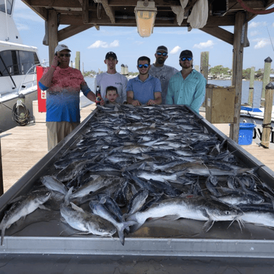 Fishing in Orange Beach