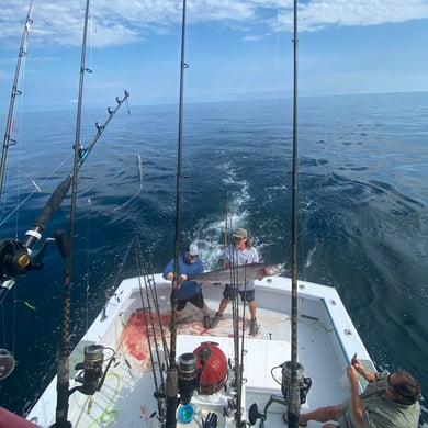 Fishing in Orange Beach