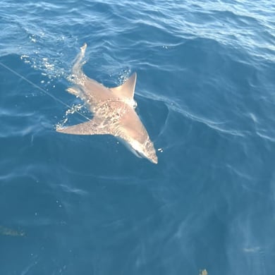 Fishing in Panama City Beach