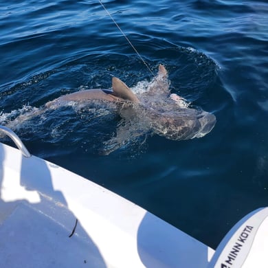 Fishing in Panama City Beach