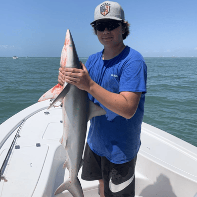 shark fishing trips galveston tx