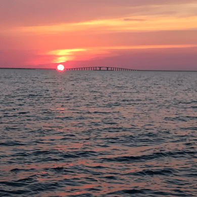 Fishing in Dauphin Island