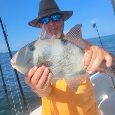 Fishing in Dauphin Island