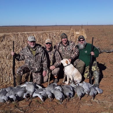 Hunting in Abilene