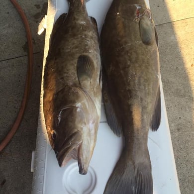 Fishing in Wrightsville Beach