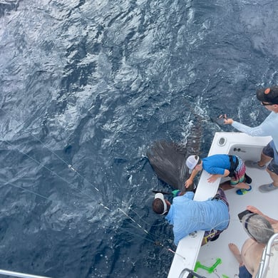 Fishing in Quepos