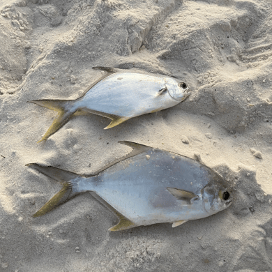 Fishing in Panama City Beach