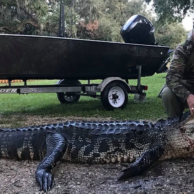 Hunting in Okeechobee