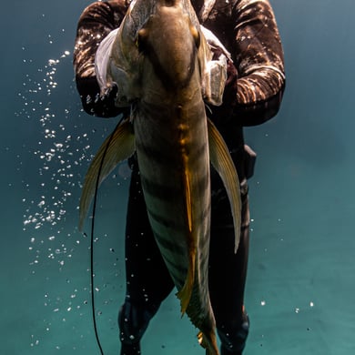 Fishing in Cabo San Lucas