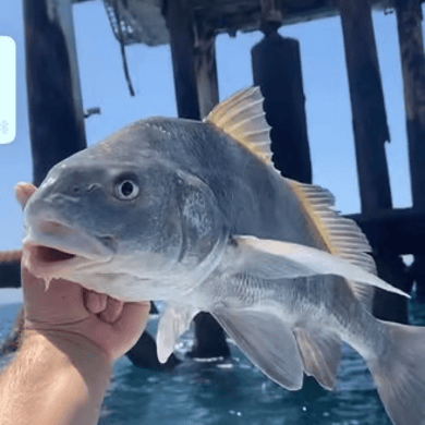 Fishing in Corpus Christi