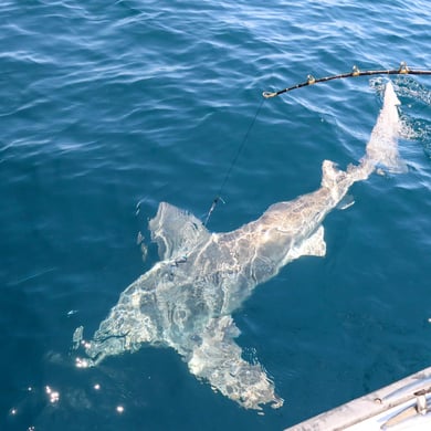 Fishing in Corpus Christi