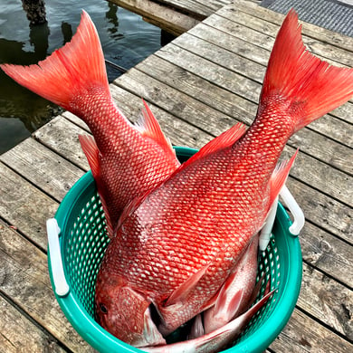 Fishing in New Smyrna Beach