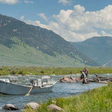 Fishing in Madison River